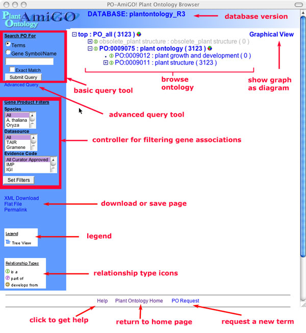 figure1.jpg