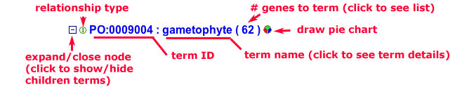 figure2